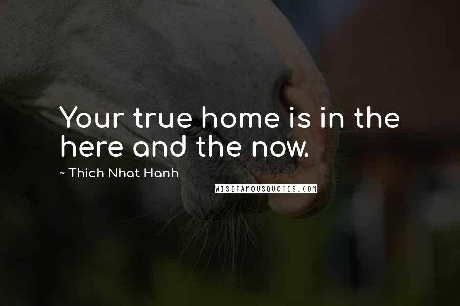 Thich Nhat Hanh Quotes: Your true home is in the here and the now.