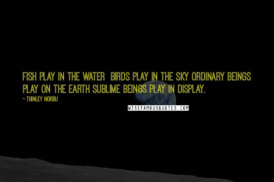 Thinley Norbu Quotes: Fish play in the water birds play in the sky ordinary beings play on the earth sublime beings play in display.