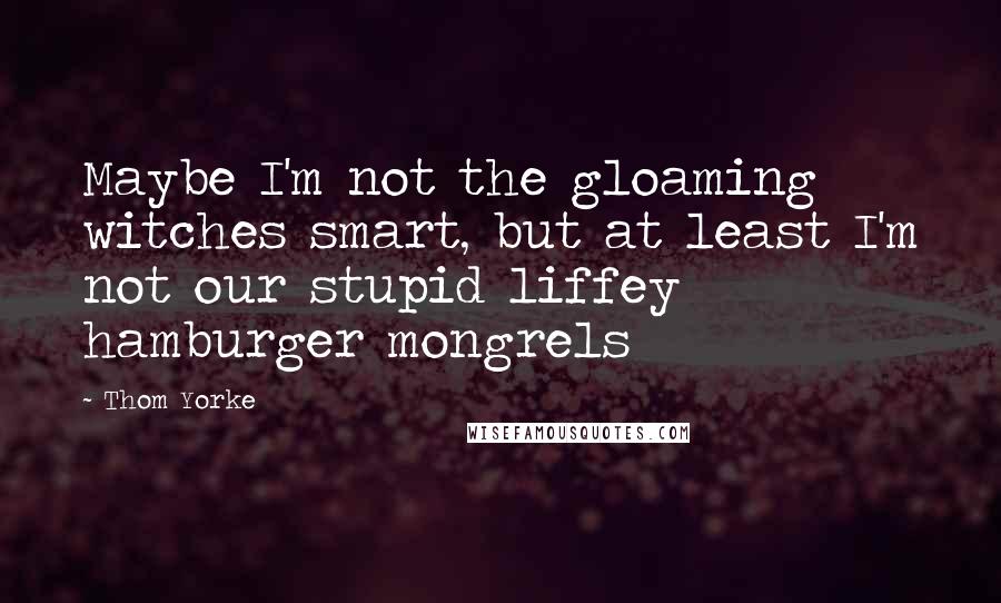 Thom Yorke Quotes: Maybe I'm not the gloaming witches smart, but at least I'm not our stupid liffey hamburger mongrels