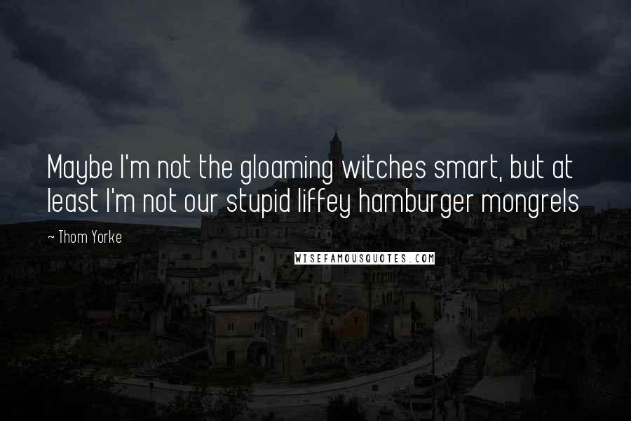 Thom Yorke Quotes: Maybe I'm not the gloaming witches smart, but at least I'm not our stupid liffey hamburger mongrels