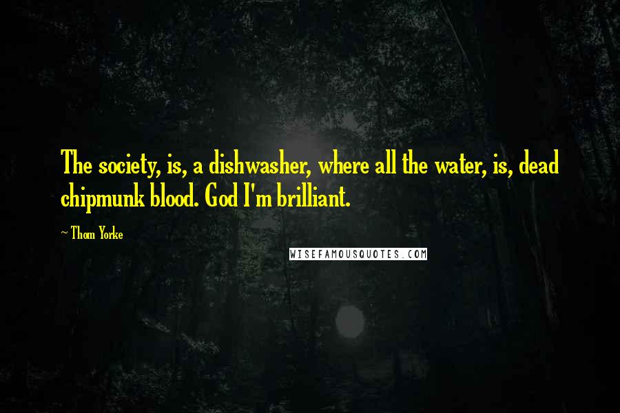 Thom Yorke Quotes: The society, is, a dishwasher, where all the water, is, dead chipmunk blood. God I'm brilliant.