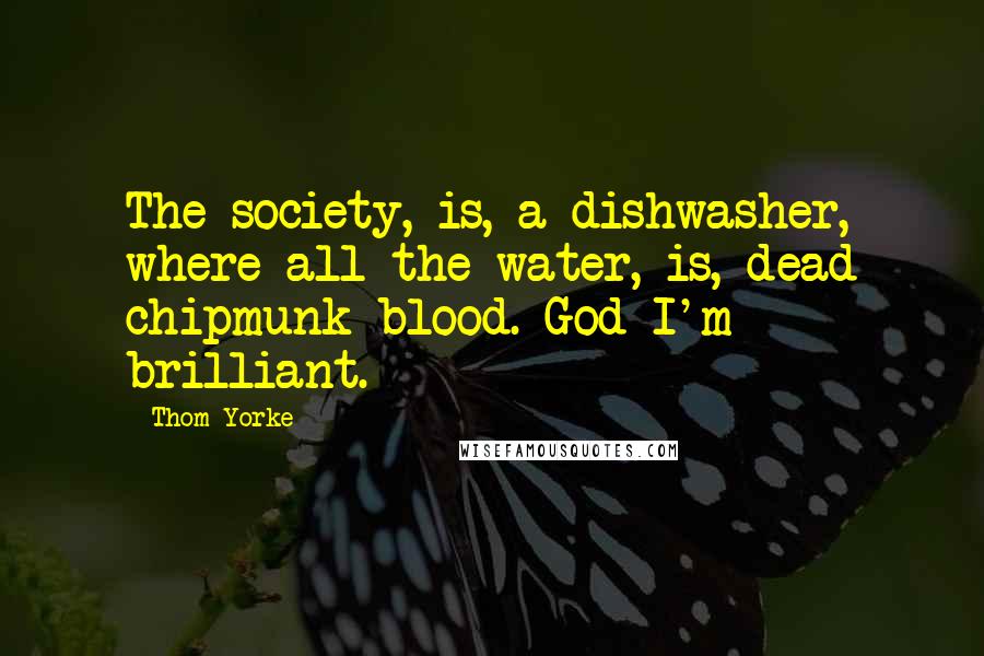 Thom Yorke Quotes: The society, is, a dishwasher, where all the water, is, dead chipmunk blood. God I'm brilliant.