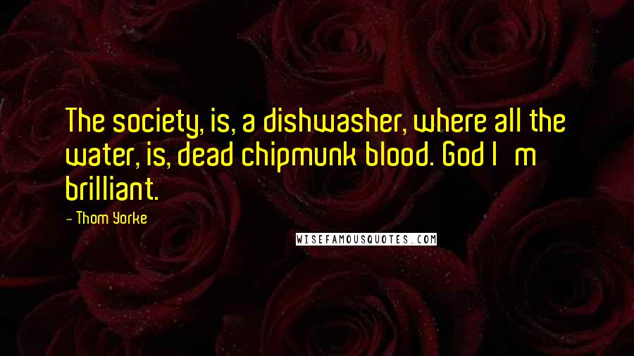 Thom Yorke Quotes: The society, is, a dishwasher, where all the water, is, dead chipmunk blood. God I'm brilliant.