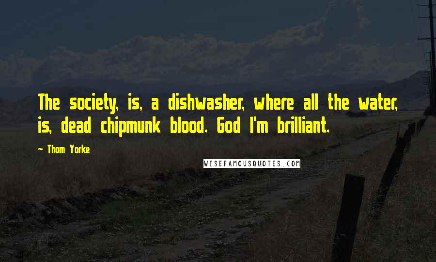 Thom Yorke Quotes: The society, is, a dishwasher, where all the water, is, dead chipmunk blood. God I'm brilliant.