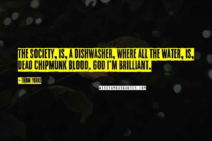 Thom Yorke Quotes: The society, is, a dishwasher, where all the water, is, dead chipmunk blood. God I'm brilliant.