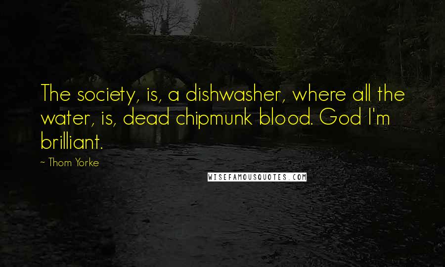 Thom Yorke Quotes: The society, is, a dishwasher, where all the water, is, dead chipmunk blood. God I'm brilliant.