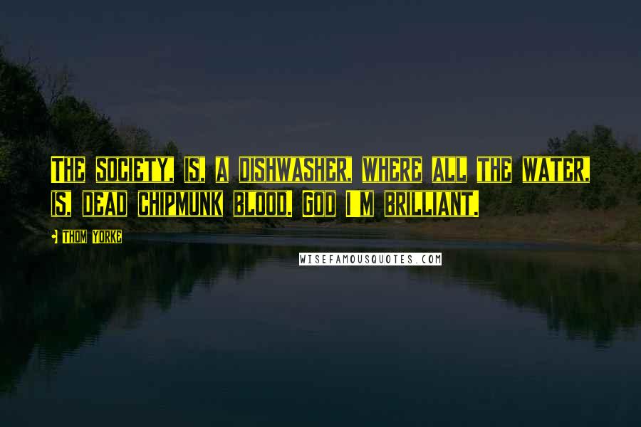 Thom Yorke Quotes: The society, is, a dishwasher, where all the water, is, dead chipmunk blood. God I'm brilliant.