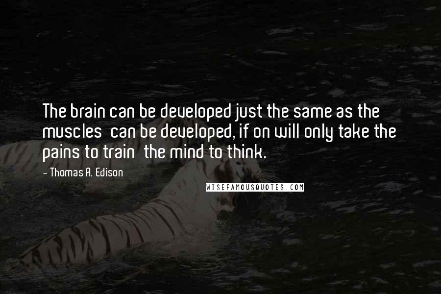 Thomas A. Edison Quotes: The brain can be developed just the same as the muscles can be developed, if on will only take the pains to train the mind to think.