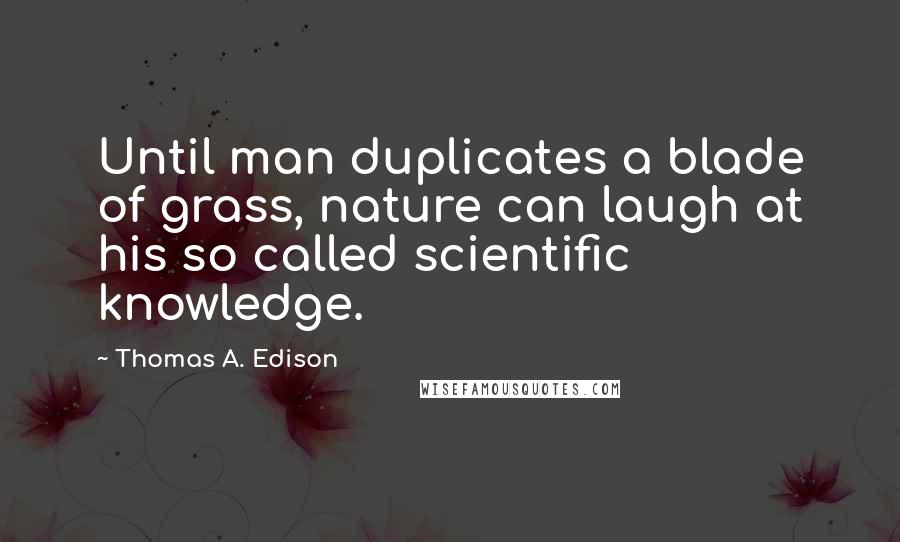 Thomas A. Edison Quotes: Until man duplicates a blade of grass, nature can laugh at his so called scientific knowledge.