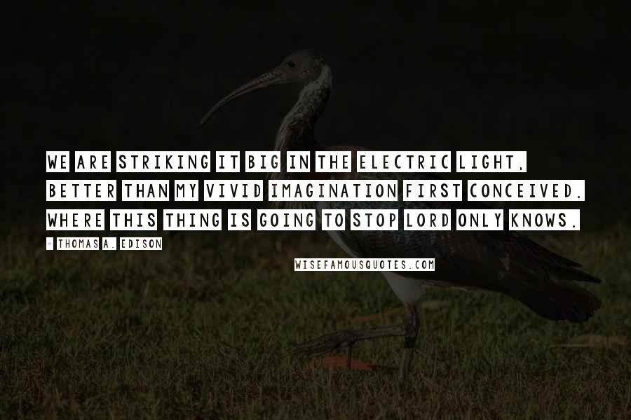 Thomas A. Edison Quotes: We are striking it big in the electric light, better than my vivid imagination first conceived. Where this thing is going to stop Lord only knows.