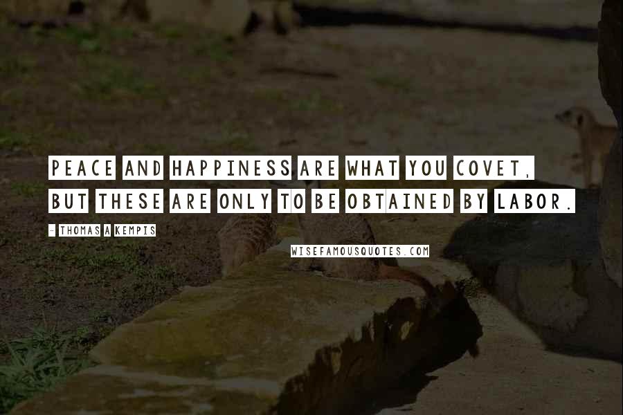 Thomas A Kempis Quotes: Peace and happiness are what you covet, but these are only to be obtained by labor.