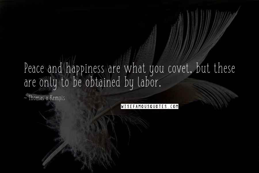Thomas A Kempis Quotes: Peace and happiness are what you covet, but these are only to be obtained by labor.