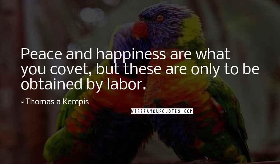 Thomas A Kempis Quotes: Peace and happiness are what you covet, but these are only to be obtained by labor.