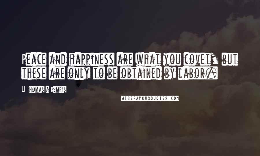 Thomas A Kempis Quotes: Peace and happiness are what you covet, but these are only to be obtained by labor.