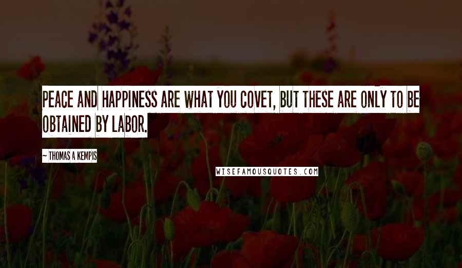 Thomas A Kempis Quotes: Peace and happiness are what you covet, but these are only to be obtained by labor.