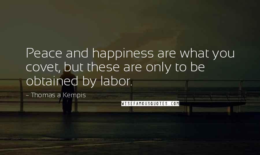 Thomas A Kempis Quotes: Peace and happiness are what you covet, but these are only to be obtained by labor.
