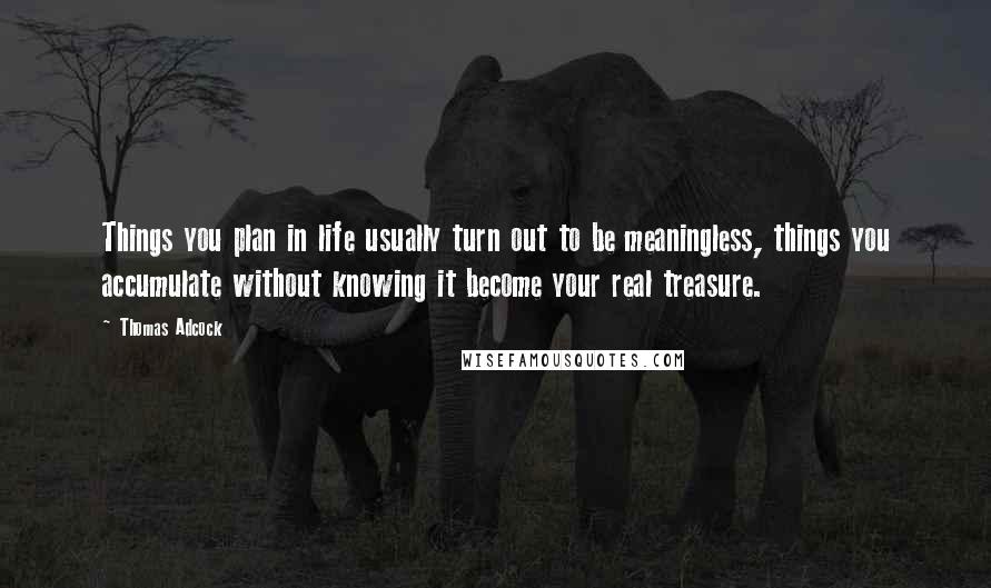 Thomas Adcock Quotes: Things you plan in life usually turn out to be meaningless, things you accumulate without knowing it become your real treasure.
