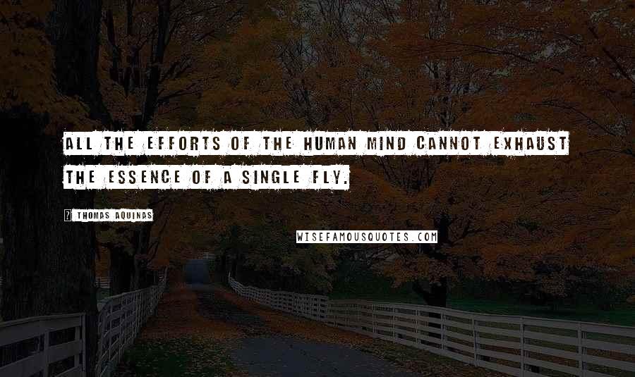 Thomas Aquinas Quotes: All the efforts of the human mind cannot exhaust the essence of a single fly.