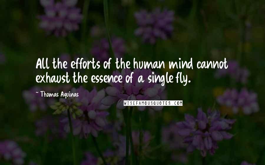 Thomas Aquinas Quotes: All the efforts of the human mind cannot exhaust the essence of a single fly.