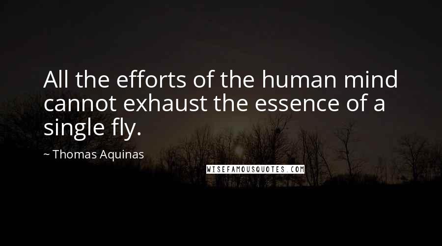 Thomas Aquinas Quotes: All the efforts of the human mind cannot exhaust the essence of a single fly.