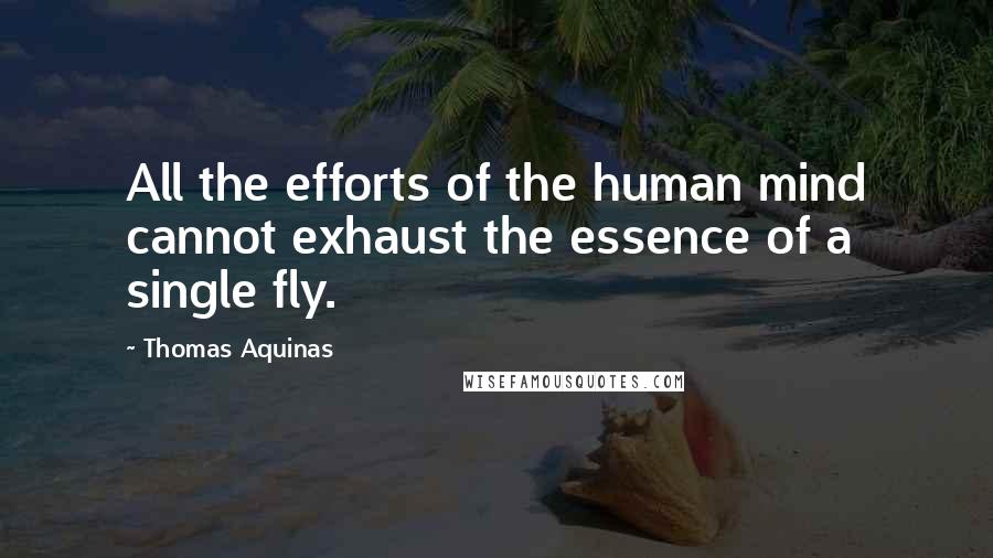 Thomas Aquinas Quotes: All the efforts of the human mind cannot exhaust the essence of a single fly.