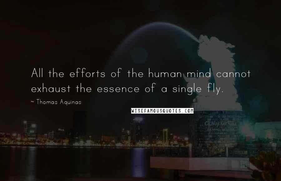 Thomas Aquinas Quotes: All the efforts of the human mind cannot exhaust the essence of a single fly.