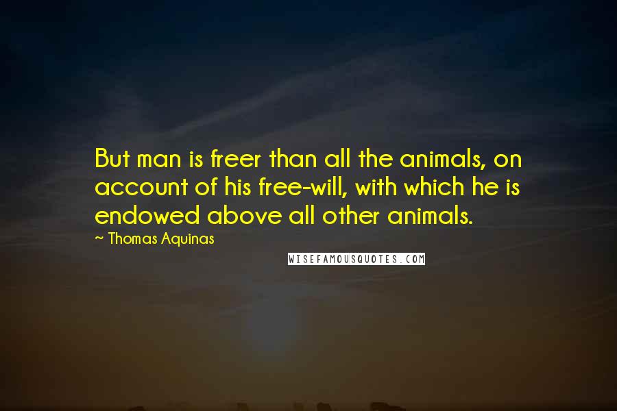 Thomas Aquinas Quotes: But man is freer than all the animals, on account of his free-will, with which he is endowed above all other animals.