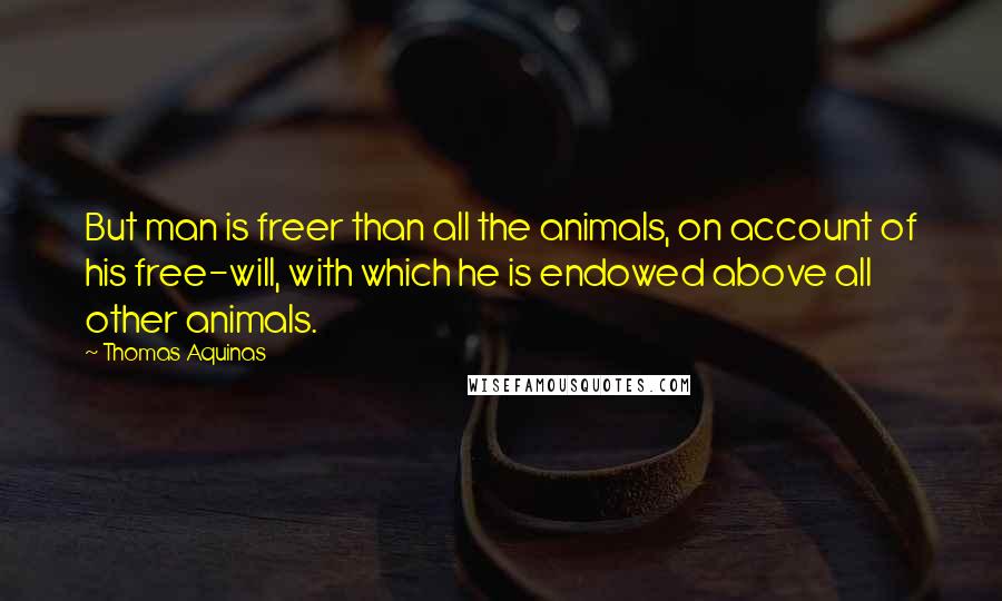 Thomas Aquinas Quotes: But man is freer than all the animals, on account of his free-will, with which he is endowed above all other animals.