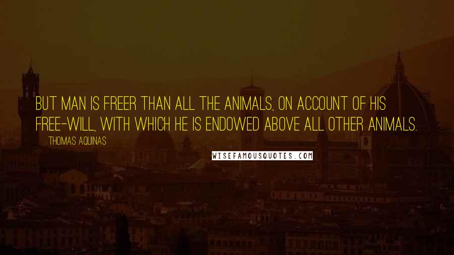 Thomas Aquinas Quotes: But man is freer than all the animals, on account of his free-will, with which he is endowed above all other animals.