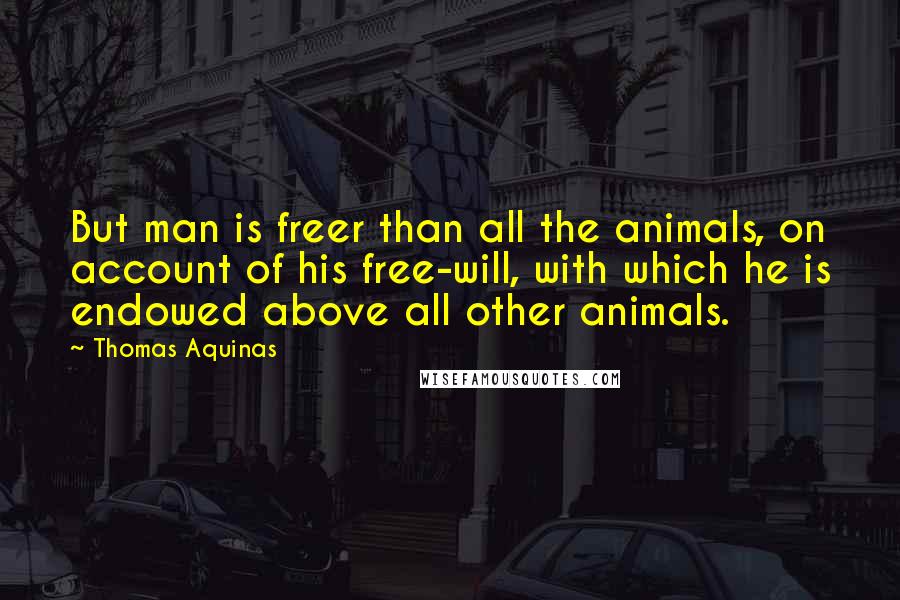 Thomas Aquinas Quotes: But man is freer than all the animals, on account of his free-will, with which he is endowed above all other animals.