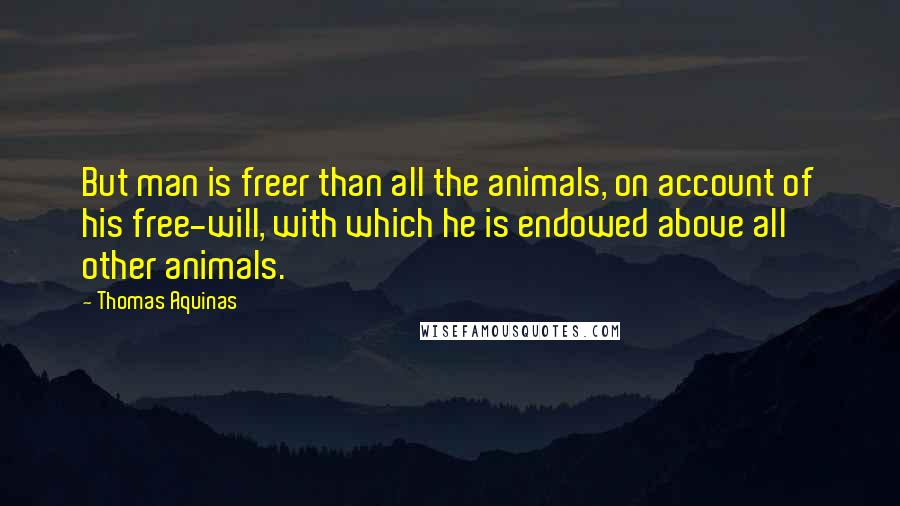 Thomas Aquinas Quotes: But man is freer than all the animals, on account of his free-will, with which he is endowed above all other animals.