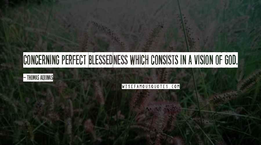 Thomas Aquinas Quotes: Concerning perfect blessedness which consists in a vision of God.