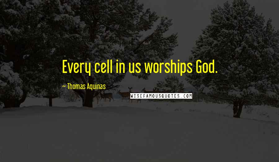 Thomas Aquinas Quotes: Every cell in us worships God.