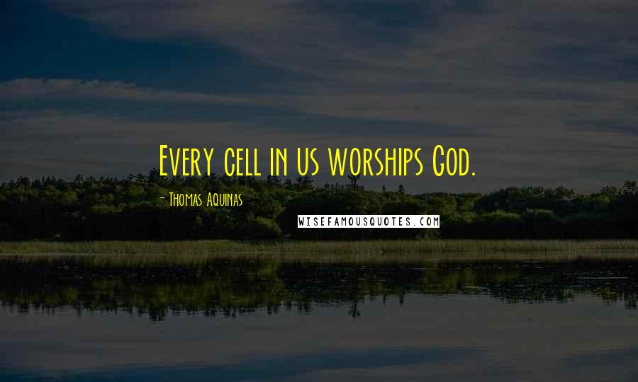 Thomas Aquinas Quotes: Every cell in us worships God.