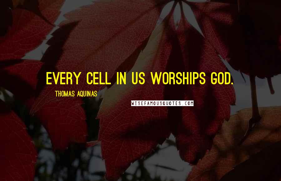 Thomas Aquinas Quotes: Every cell in us worships God.