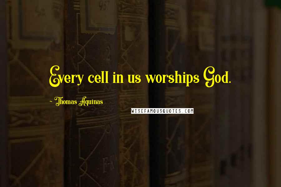 Thomas Aquinas Quotes: Every cell in us worships God.