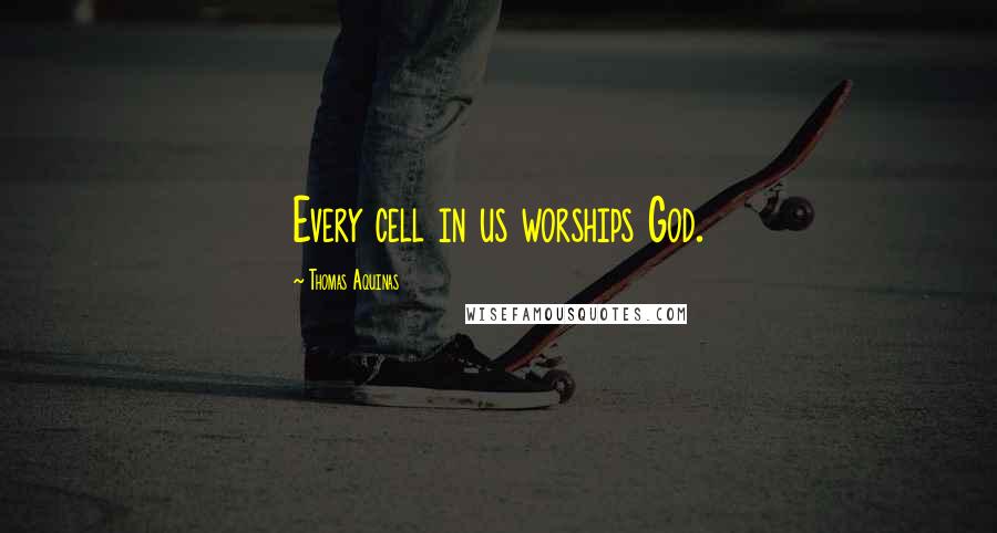 Thomas Aquinas Quotes: Every cell in us worships God.