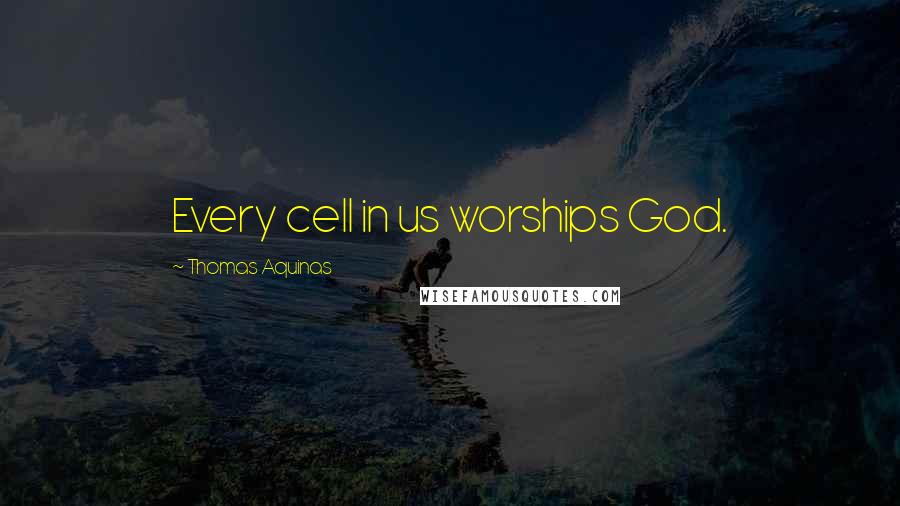 Thomas Aquinas Quotes: Every cell in us worships God.