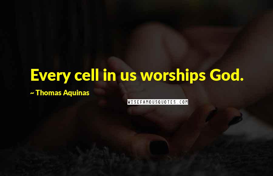 Thomas Aquinas Quotes: Every cell in us worships God.