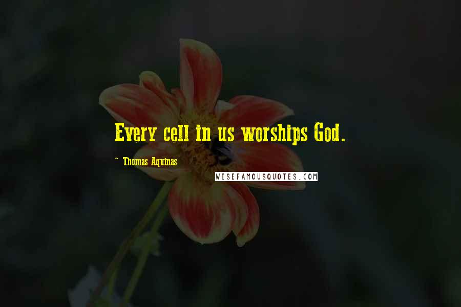 Thomas Aquinas Quotes: Every cell in us worships God.