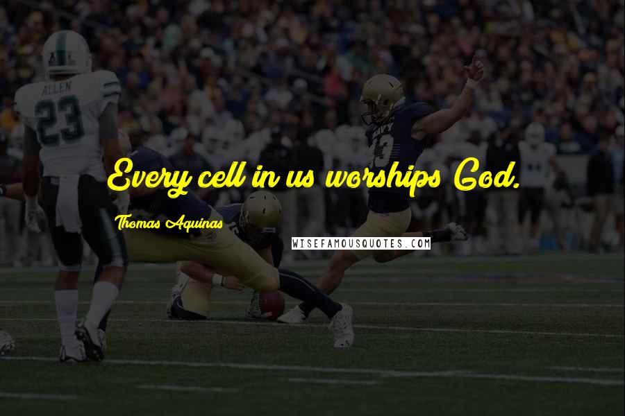 Thomas Aquinas Quotes: Every cell in us worships God.