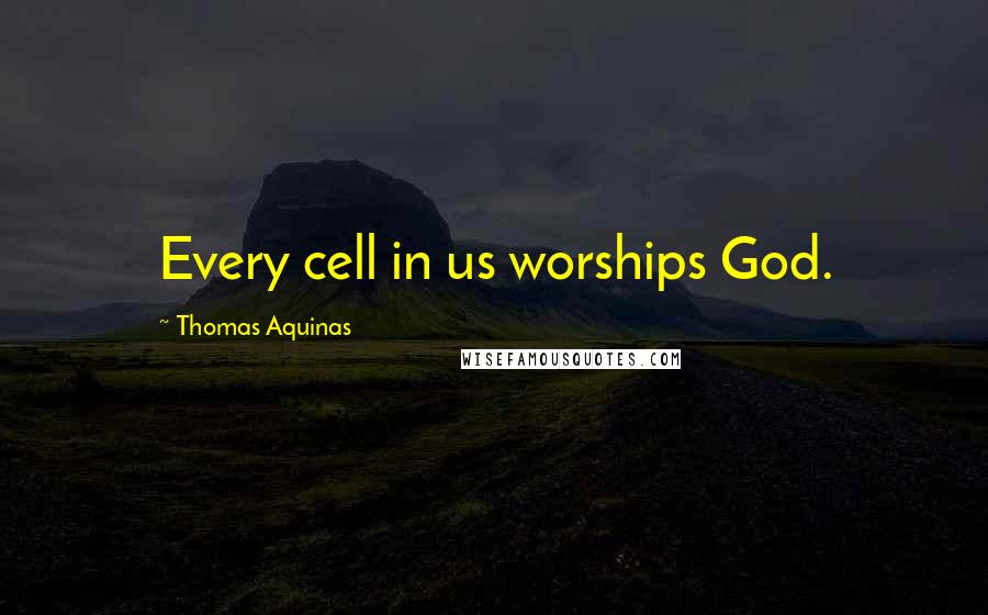 Thomas Aquinas Quotes: Every cell in us worships God.