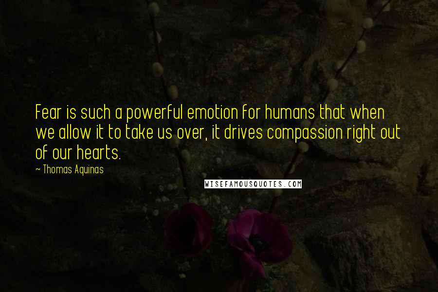 Thomas Aquinas Quotes: Fear is such a powerful emotion for humans that when we allow it to take us over, it drives compassion right out of our hearts.