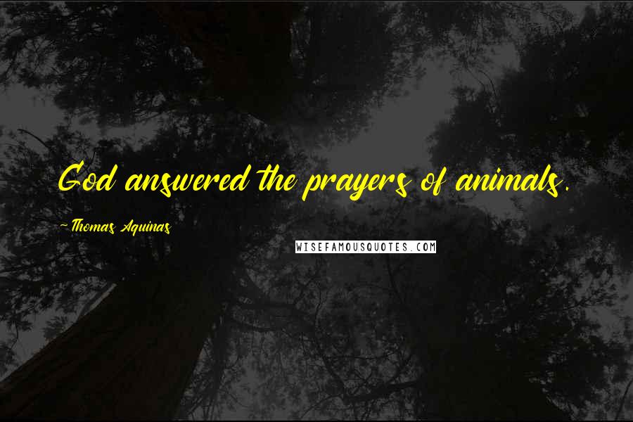 Thomas Aquinas Quotes: God answered the prayers of animals.