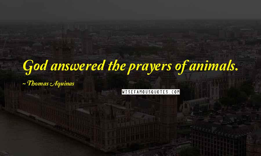 Thomas Aquinas Quotes: God answered the prayers of animals.