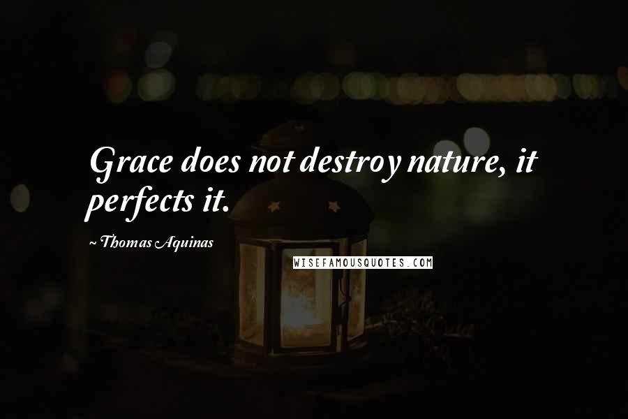 Thomas Aquinas Quotes: Grace does not destroy nature, it perfects it.