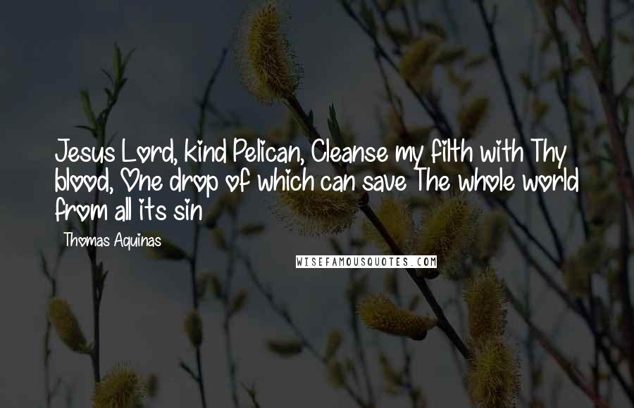 Thomas Aquinas Quotes: Jesus Lord, kind Pelican, Cleanse my filth with Thy blood, One drop of which can save The whole world from all its sin