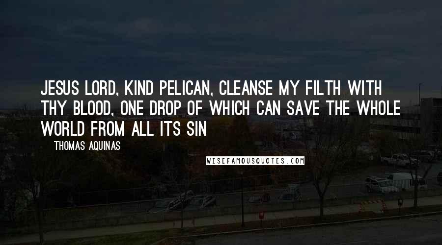 Thomas Aquinas Quotes: Jesus Lord, kind Pelican, Cleanse my filth with Thy blood, One drop of which can save The whole world from all its sin