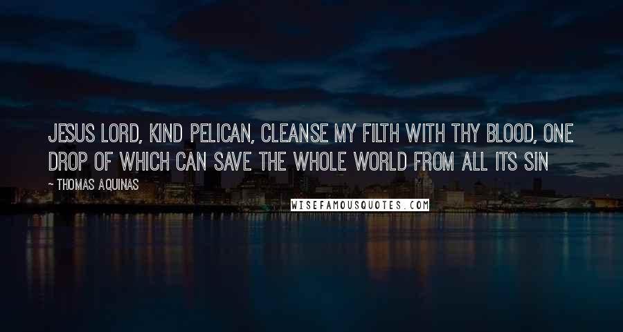 Thomas Aquinas Quotes: Jesus Lord, kind Pelican, Cleanse my filth with Thy blood, One drop of which can save The whole world from all its sin