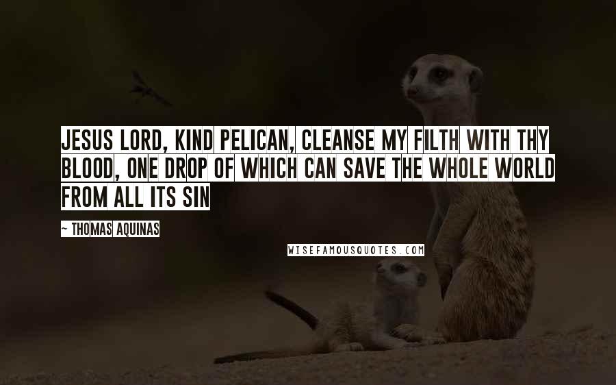 Thomas Aquinas Quotes: Jesus Lord, kind Pelican, Cleanse my filth with Thy blood, One drop of which can save The whole world from all its sin